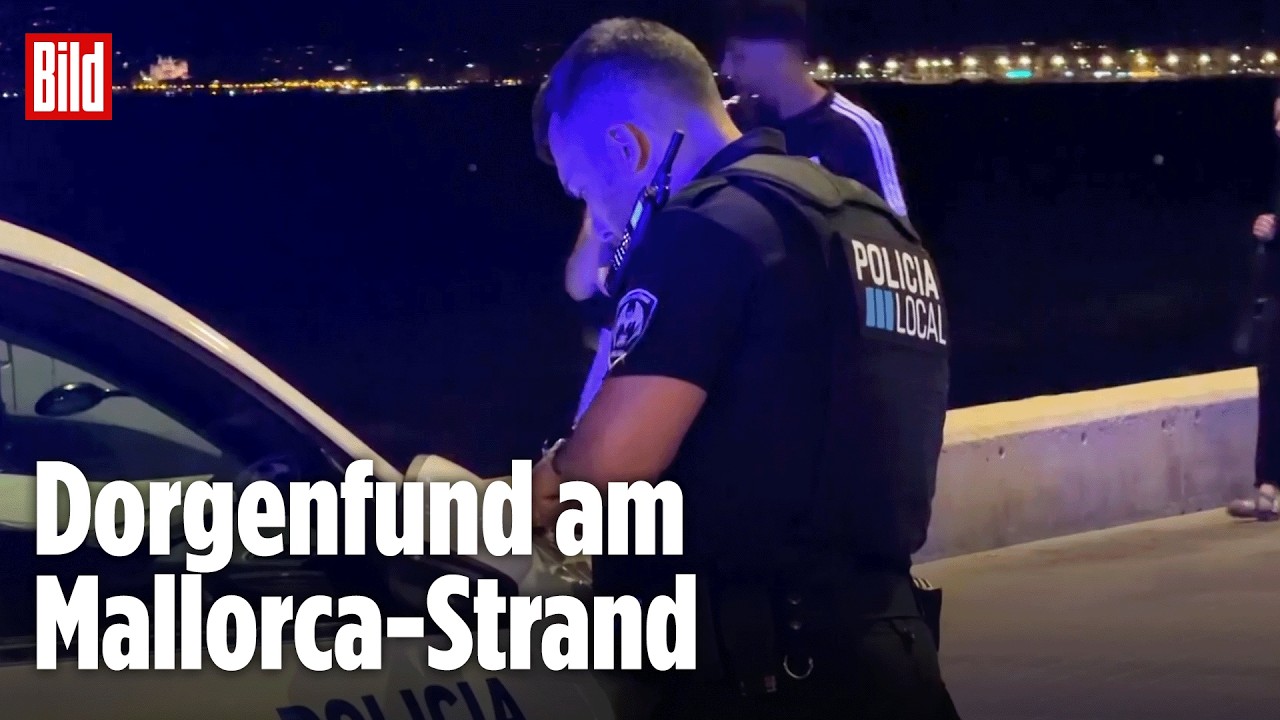 MALLORCA: Kokainfund löst Großeinsatz aus! Im Megapark wird einfach weitergefeiert