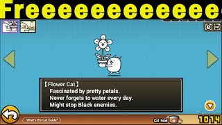 The Battle Cats | How to Get Flower Cat | meow meow meow