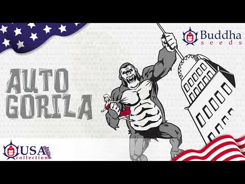 Youtube video preview