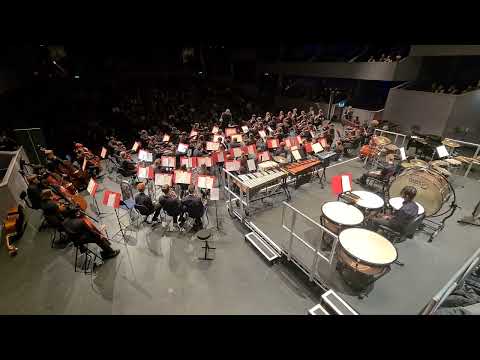 NMPAT County Youth Orchestra: Adagio for Strings by Barber