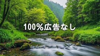 【100％広告なし】心が落ち着く優しいリラックス音楽、自律神経を整え不安やストレス解消のためのヒーリングミュージック/睡眠用・作業用・勉強用BGM