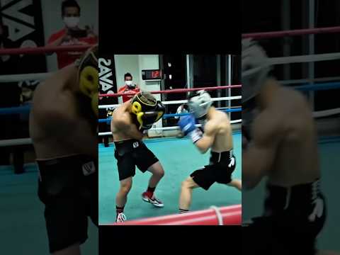Naoya Inoue sparring Kosei Tanaka #naoyainoue #japan