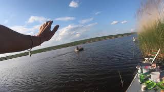 Рыбалка на хищника в донецкой области какие водоемы