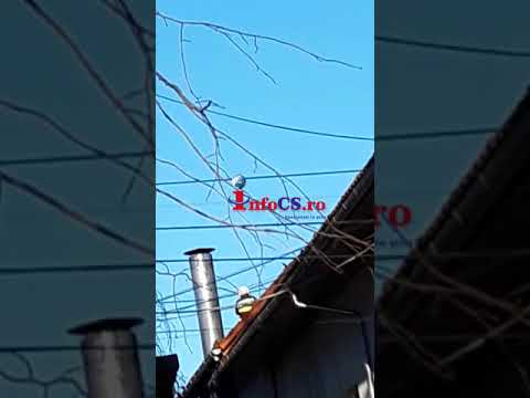 Foc la acoperisul pensiunii din Bozovici