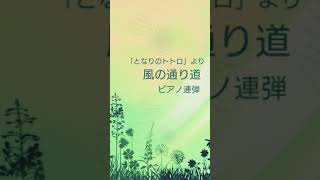Download lagu 風の通り道/となりのトトロ           #ピアノ #スタジオジブリ #久石譲 mp3