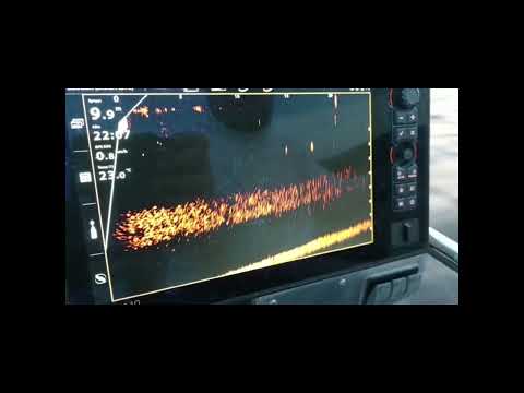 Mega live päivitys 1.170 jigin seuranta