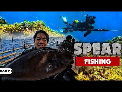 EP948-P1 - Spear Fishing Adventure