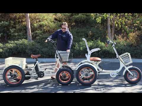3 Wheel or 4 Wheel Bike?  Which is more Stable? The CRAZY Truth About ETrikes & 4 Wheel EBikes