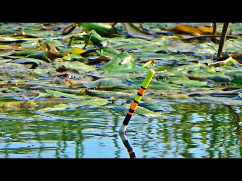 Pescuit cel mai mare secret la pluta