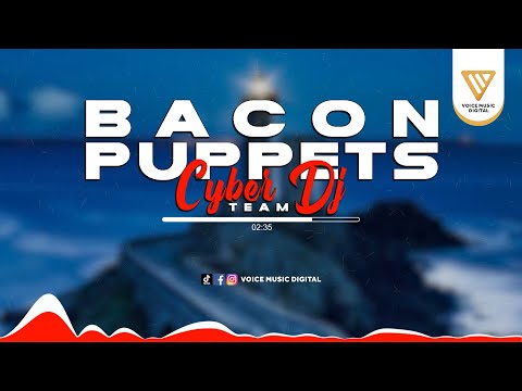 DJ Bacon Puppets - CYBER DJ TEAM