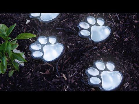 How It Works ? | Solar Paw Lawn Light