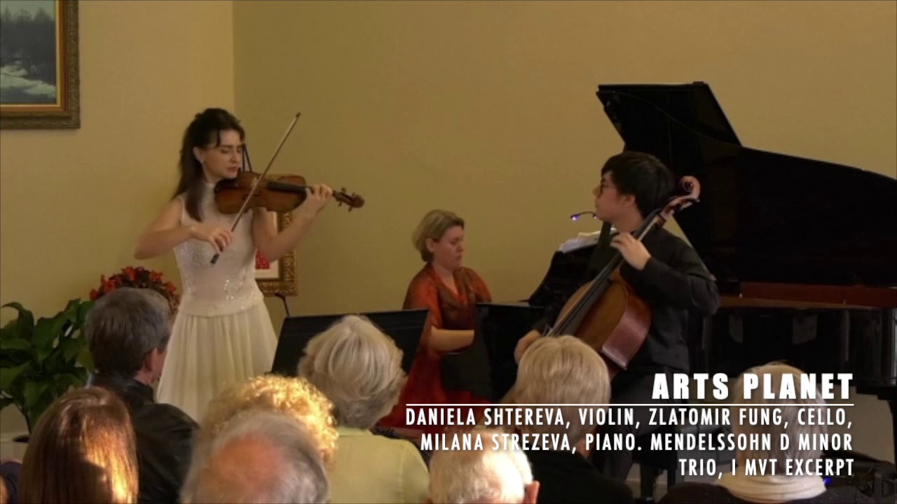 Mendelssohn - D minor Trio, 1. Mvt.