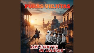 Vagando Por Tu Ausencia