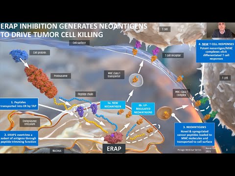 Webinar: CETSA® in pre-clinical studies