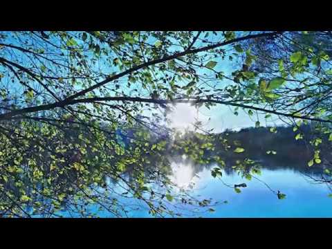 Grup Mesia - Pentru jertfa Ta