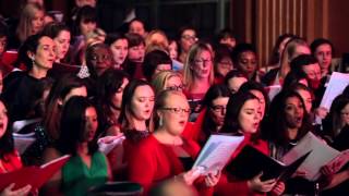 It's The Most Wonderful Time Of The Year