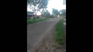 Download lagu Po Haryanto HR 93 New Tatto Klakson Frenggg mp3 Download lagu Po Haryanto HR 93 New Tatto Klakson Frenggg mp3