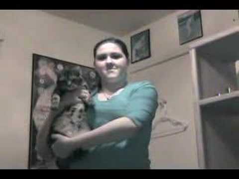 Corporal Cuddling and Kitty Yodeling