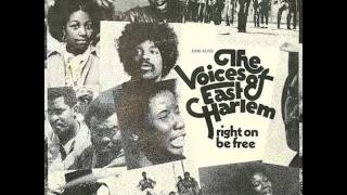 Voices Of East Harlem - Wanted Dead Or Alive