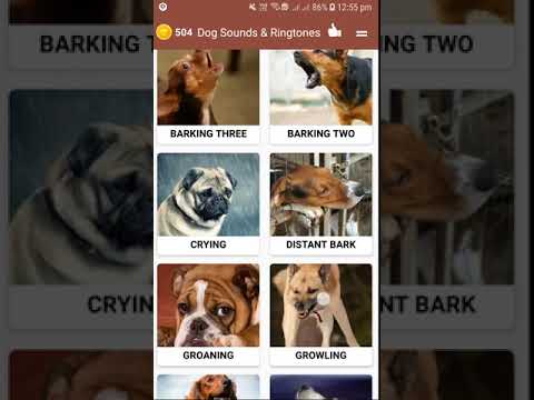 Dog Sounds Ringtones Video