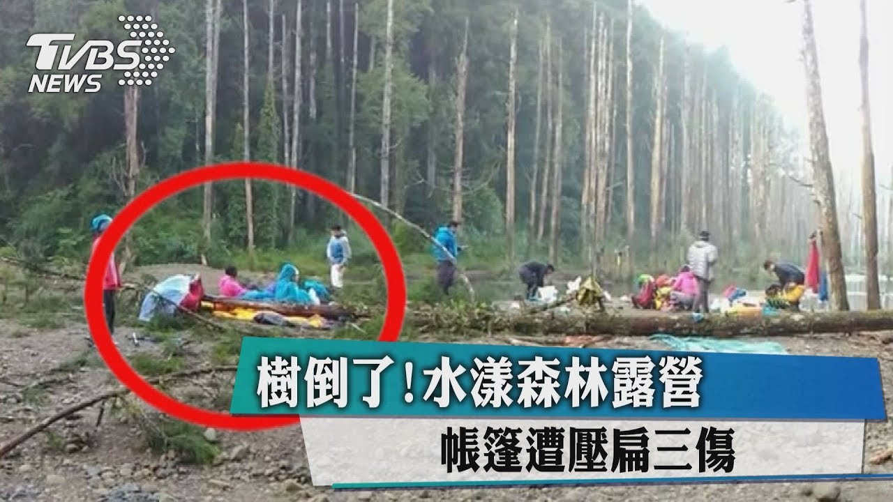樹倒了! 水漾森林露營帳篷遭壓扁3傷