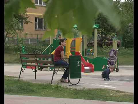 Куряне воруют цветочную рассаду на городских клумбах.