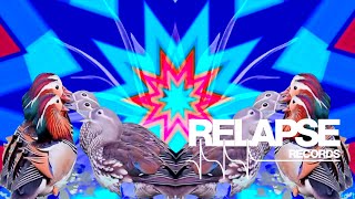 CHERUBS – “Die Robbin’ “