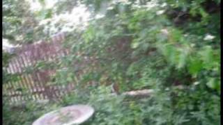 Hit The Lights- Speakers Blown Music Video