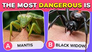 Do You Really Know ANIMALS? 🕷🐬✅  Animals Knowledge Quiz – 50 Levels