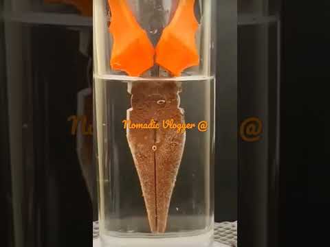 Using White Vinegar To Clean Rust - Real Demo