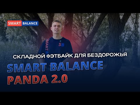 фото электровелосипед smartbalance panda 2.0 (не требует прав и регистрации) черный 0