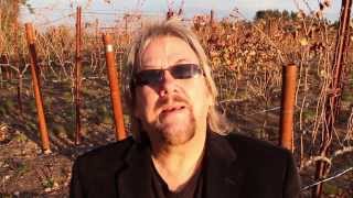 David Pack | Napa Crossroads