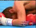Oscar De La Hoya vs. Bernard Hopkins 9th Rd KO ...