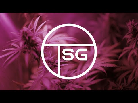 KaKtu5 - Everything Is Alright (Original Mix)