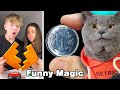 Oscar Shows You Some Funny Magic Tricks😉🤞| Oscar‘s Funny World | Cute And Funny Cat