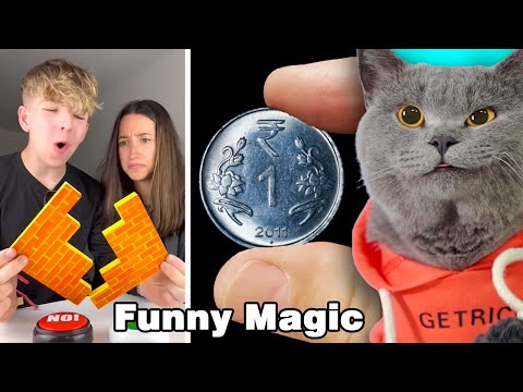 Oscar Shows You Some Funny Magic Tricks😉🤞| Oscar‘s Funny World | Cute And Funny Cat