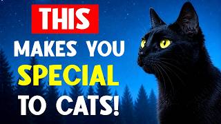 If Your Cat Does THIS, You Are SPECIAL! ⭐