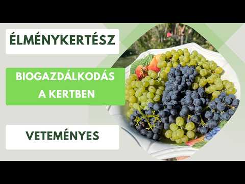 Biogazdálkodás a kertben?🏡 Egyszerűbb, mint gondolnád🥕🍅🫑