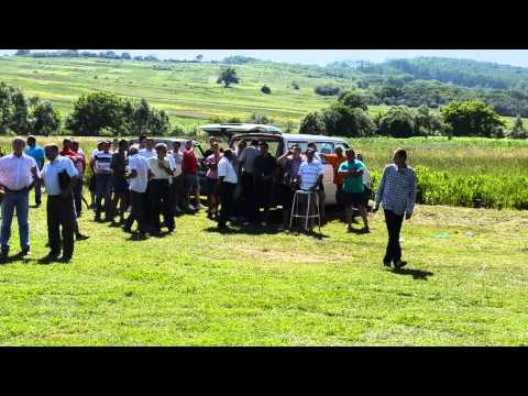 FAVORIT DOBRIN, ECHIPA IN CAMPION1