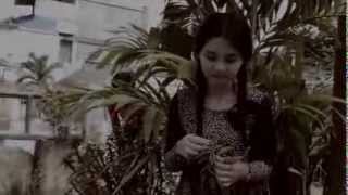 kwarto by sugar free