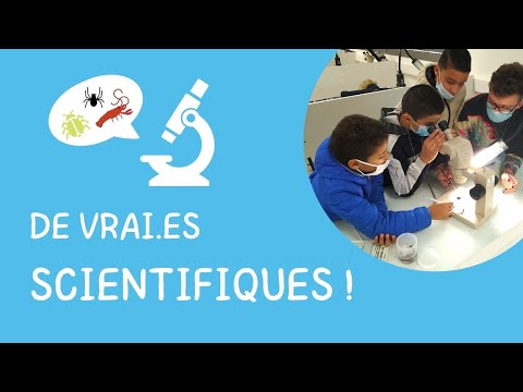 De vrai.es scientifiques !