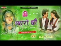 🎧 Nepali Dj || Pyaro Chhau || New Nepali Tharu Song 2080 || Sangita Chaudhary || DjRaaji Remix