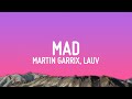 Martin Garrix & Lauv - MAD (Lyrics)