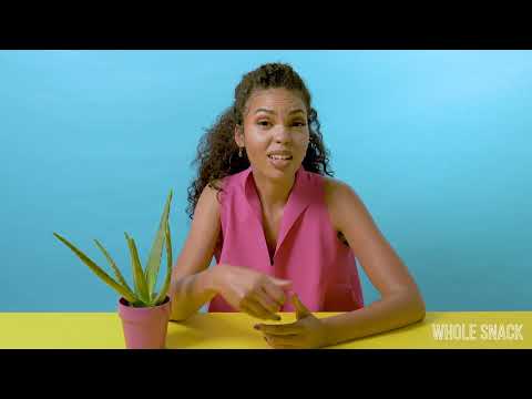 Whole Snack | Abundance Mindset with Kiara Lanier