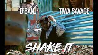 AUDIO: D&#39;banj Ft. Tiwa savage - Shake It [Official Video]