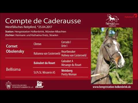 Compte de Caderausse - Präsentation westfälische Privathengstschau 2022