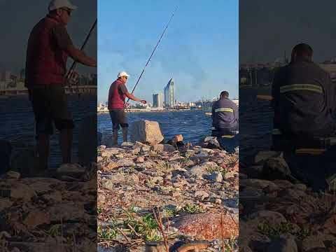 Capurro y la bahía de Montevideo | Vistas únicas desde el nuevo puerto pesquero