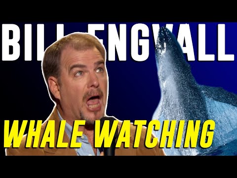 Bill Engvall - Whale Watching