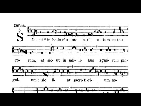 Dominica VII post Pentecosten (VII Sunday after Pentecost) - Offertorium (Sicut in holocausto)
