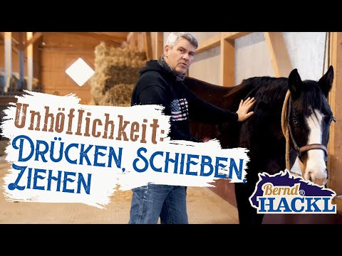 Warum das Pferd schiebt und drückt | Bernd Hackl erklärt! 🐴
